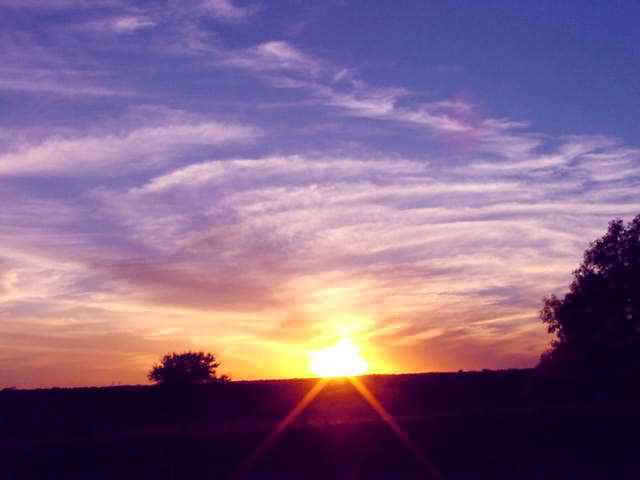 Brand New Morning