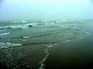 Shoreline
