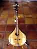 My octave mandolin